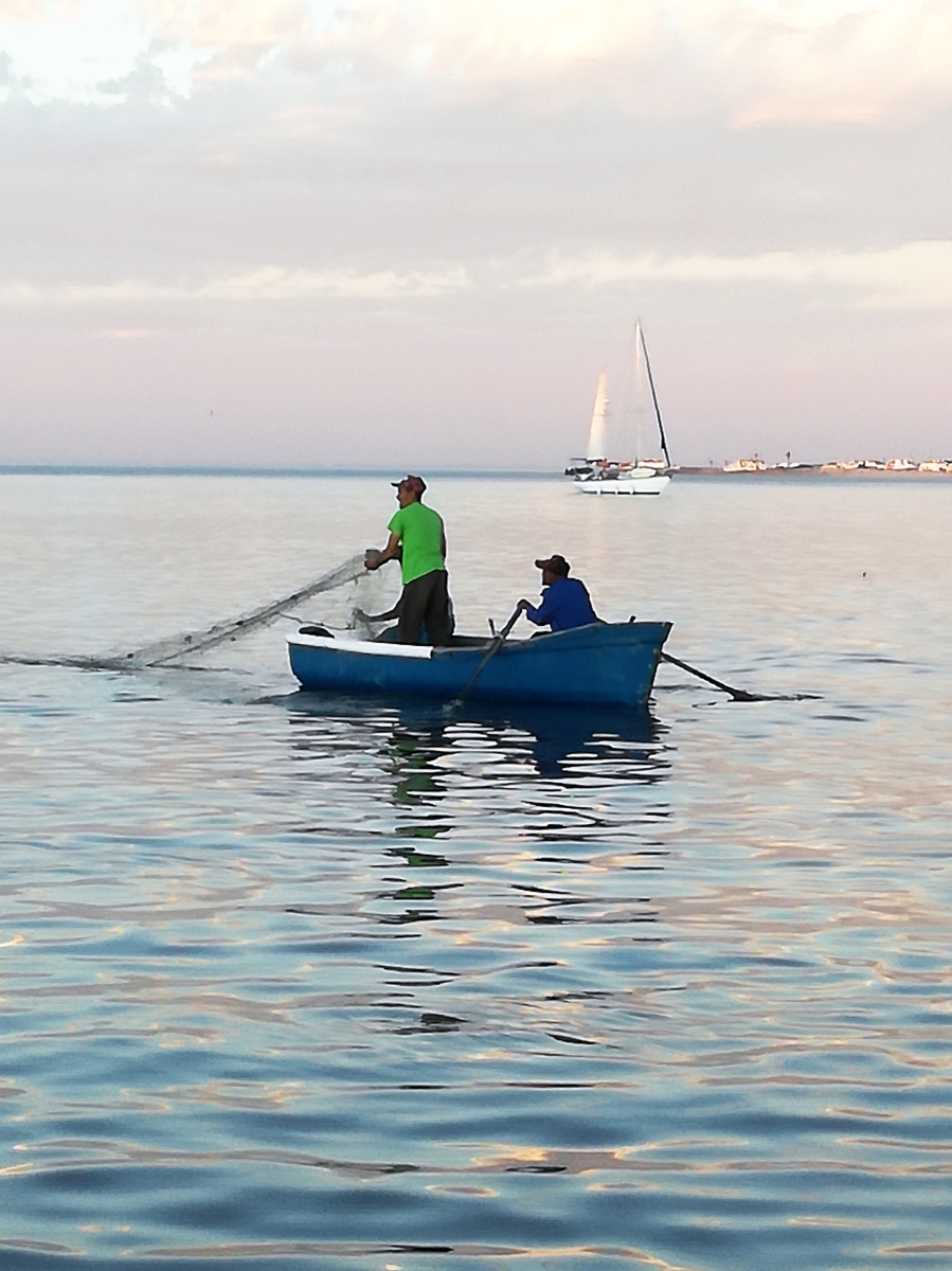 0 Bedroom Property for Sale in Steenbergs Cove Western Cape